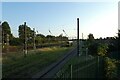 Holgate Sidings from Dickie Bridge