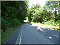 The A8003 road out of Tighnabruaich