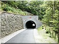 NY2823 : Eastern portal of the Bobbin Mill Tunnel by Oliver Dixon