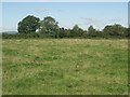 Course of public footpath in field south of Laleston