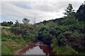 Humbleton Burn, Wooler Common