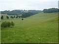 Parkland at Dodington