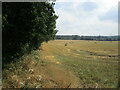 Stubble field at Market Warsop