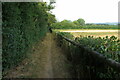 Narrow footpath towards the Slaughters