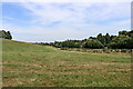 Pasture west of Claverley in Shropshire