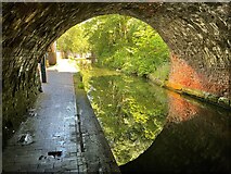 SP0686 : The Worcester & Birmingham Canal by Graham Hogg
