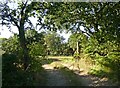 Farm gateway at Oak Down