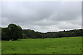 View towards Crook Hey Wood