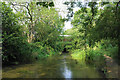 River Itchen near Eastleigh