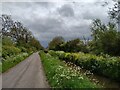 Lane from Rolstone looking towards Silver Moor Bridge