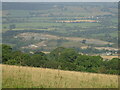 Old quarry workings at the back of Trewern