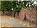 Old park wall alongside Wollaton Road