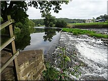 SD7335 : Whalley Weir by Greum