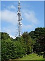 Mobile Mast LAN0055 on Whalley Nab