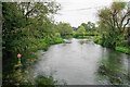 River Itchen near Twyford