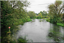 SU4724 : River Itchen near Twyford by Bill Boaden