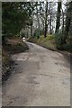 TQ6835 : Driveway, Scotney Castle by N Chadwick
