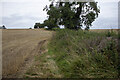 Footpath near Whiteway