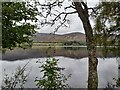 NH8609 : A View of Loch Alvie by David Bremner