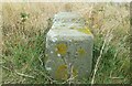 ST2264 : War Department Boundary Stone No20 by Adrian Dust
