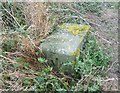ST2264 : War Department Boundary Stone No27 by Adrian Dust