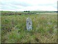 SX1277 : Old Boundary Marker on the boundary of King Arthur’s Downs and Emblance Downs, St Breward parish by P G Moore