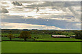 Farmland next to the A1 near to Mitford