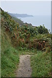 SS5047 : Sharp bend in the South West Coast Path by David Martin