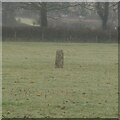 Old Boundary Marker between Old Road and Stoney Park Road, Okehampton