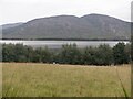 NH5118 : Field and Loch Garth by Richard Webb