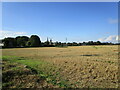 TF3023 : Stubble field near Moulton by Jonathan Thacker