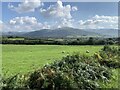 View from A493 across the Dysynni Valley