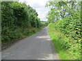 NY5918 : Hedge-lined minor road between Reagill and Sleagill by Peter Wood
