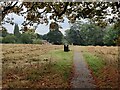 Path through Church Field in Braunstone