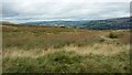 Higher Tops Farm, Harcles Hill, from the south