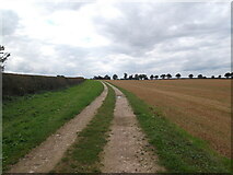 SE8067 : Farm track to Langton by David Brown