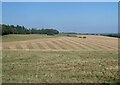 Farmland on the edge of Kingston, near Canterbury