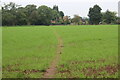 Path through field to Prioress Mill Lane