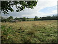 Rough grassland on the edge of Calverton