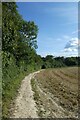 TQ5158 : Darent Valley Path beside the railway by DS Pugh