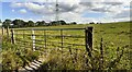 Widened gateway on SE side of B6263 east of Newlands Farm