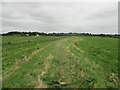 Easy  walking  over  Reydon  Marshes