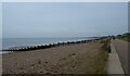 Shingle on Tankerton Beach