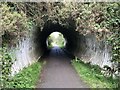 Castle Eden Walkway Passing Under Minor Road