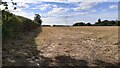 Field on west side of minor road NW of Cumwhinton