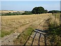 Farmland opposite Middle Aston 