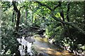 Beverley Brook