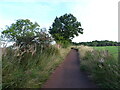 National Cycle Route 75 towards Uddingston