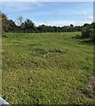 Grassy field in Arlingham