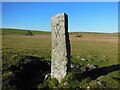 Old Boundary Marker on Emblance Downs, St Breward parish